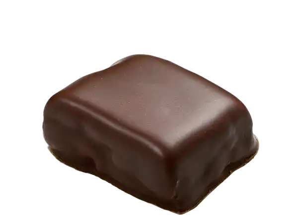 Imagen de mantecado de almendra bañado en chocolate La Fortaleza