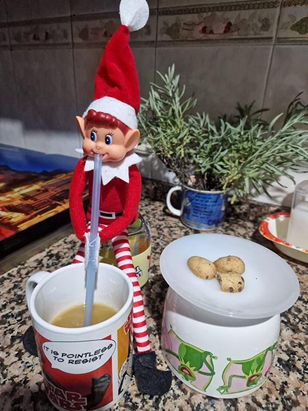 travesura elfo navideño