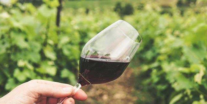 vino malagueño