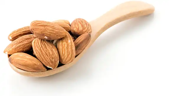 Almendras utilizadas en los Polvorones de Estepa de La Fortaleza